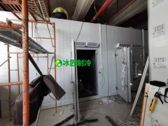 黃岡醫(yī)藥冷庫(kù)調(diào)試